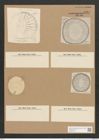 Campylodiscus latus Shadb. (de-Toni-Nr.: Genus 57, Species 2460) Zeichnungen Sammlung Grunow Nr. 4957 (NHMW-BOT-W0373178)